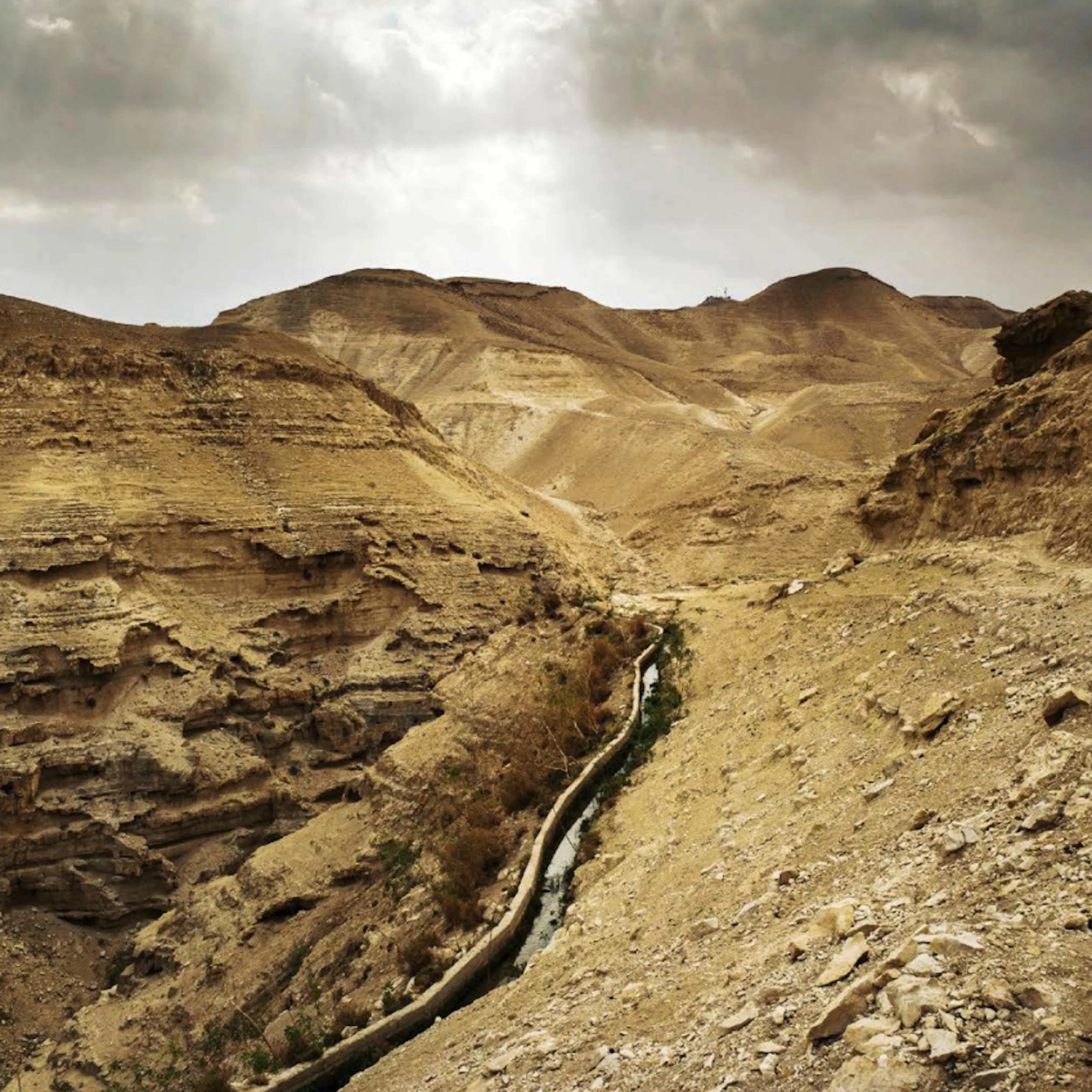 Screenshot 2026 03 10 at 13 46 23