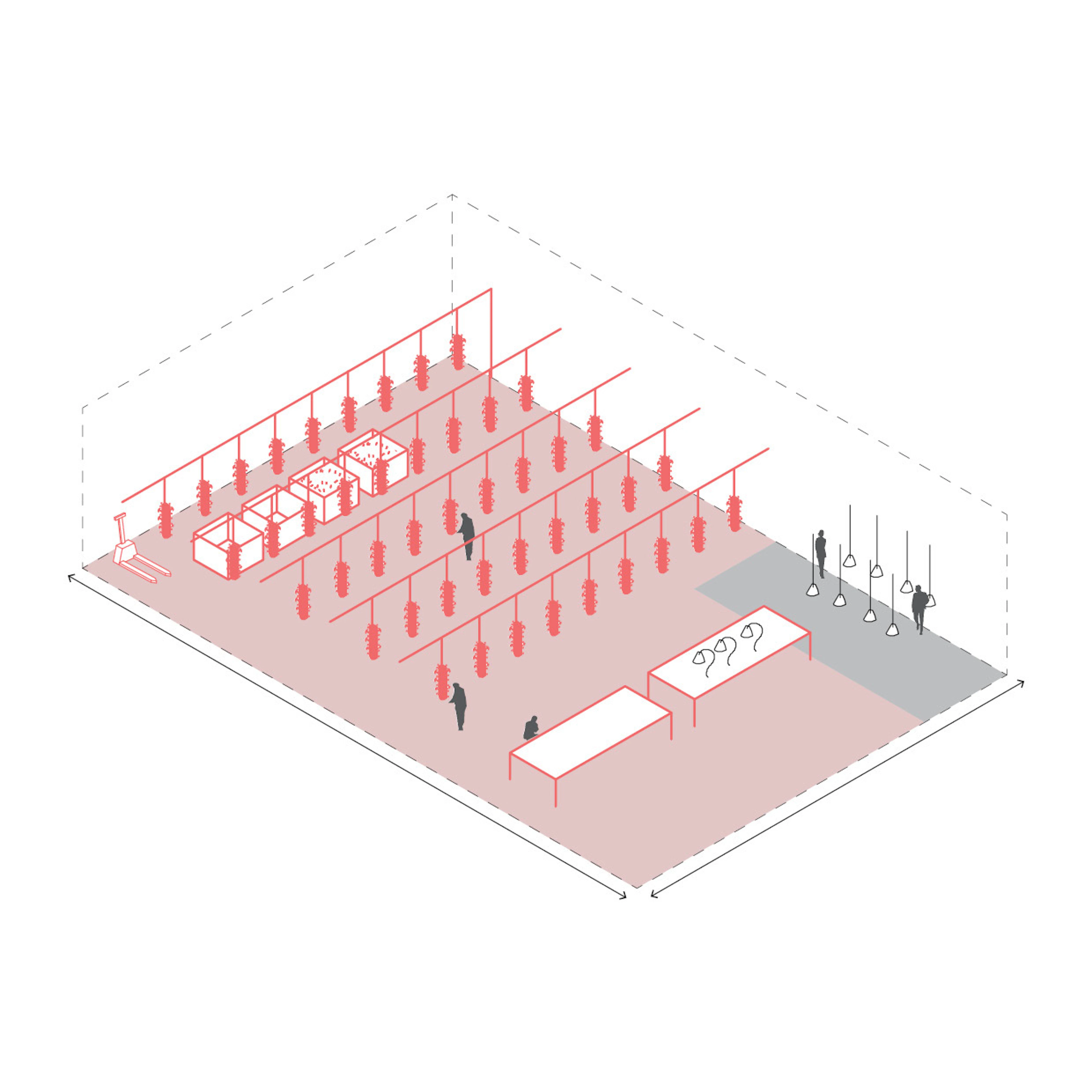 Mushroom farm