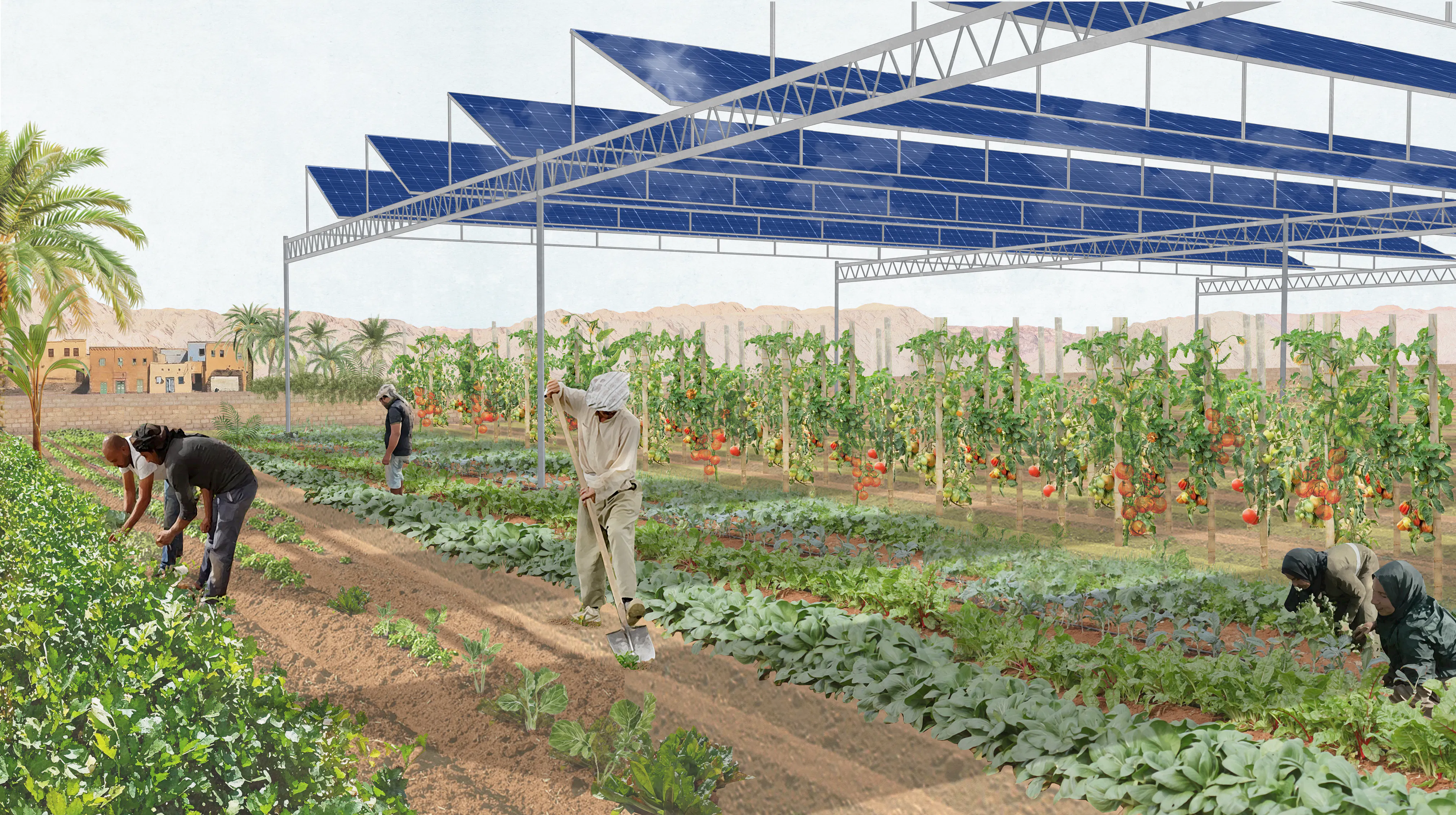 241007 Final view more shadows