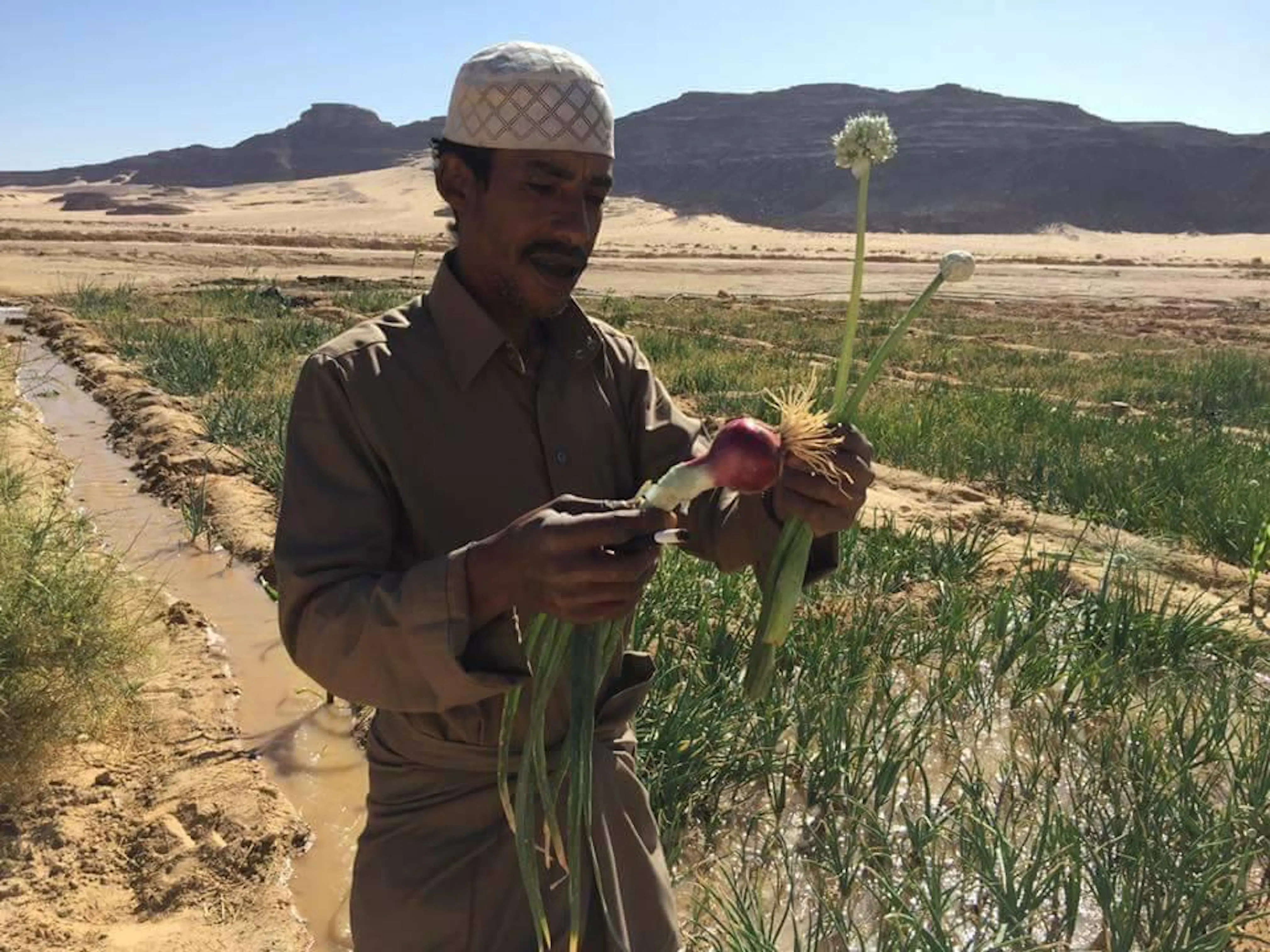 9e4f75f0 fe38 41a2 bdf0 322968e15853 copy