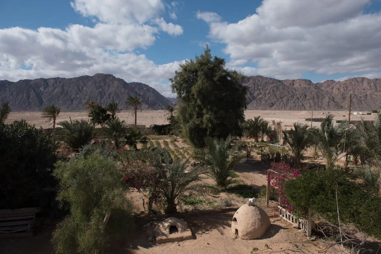 Habiba Organic Farm Picture