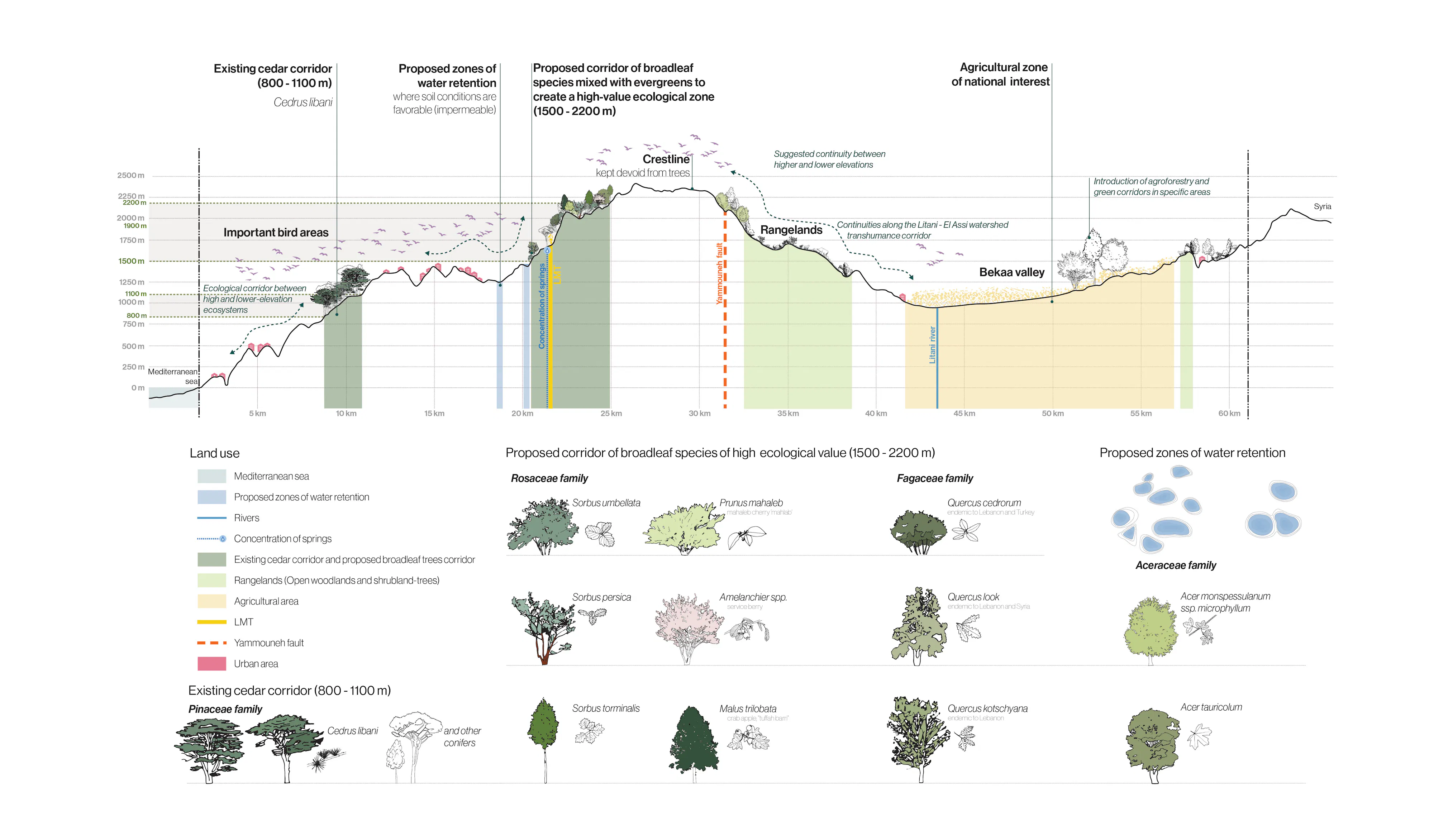 LEBN Section HM strategy resized