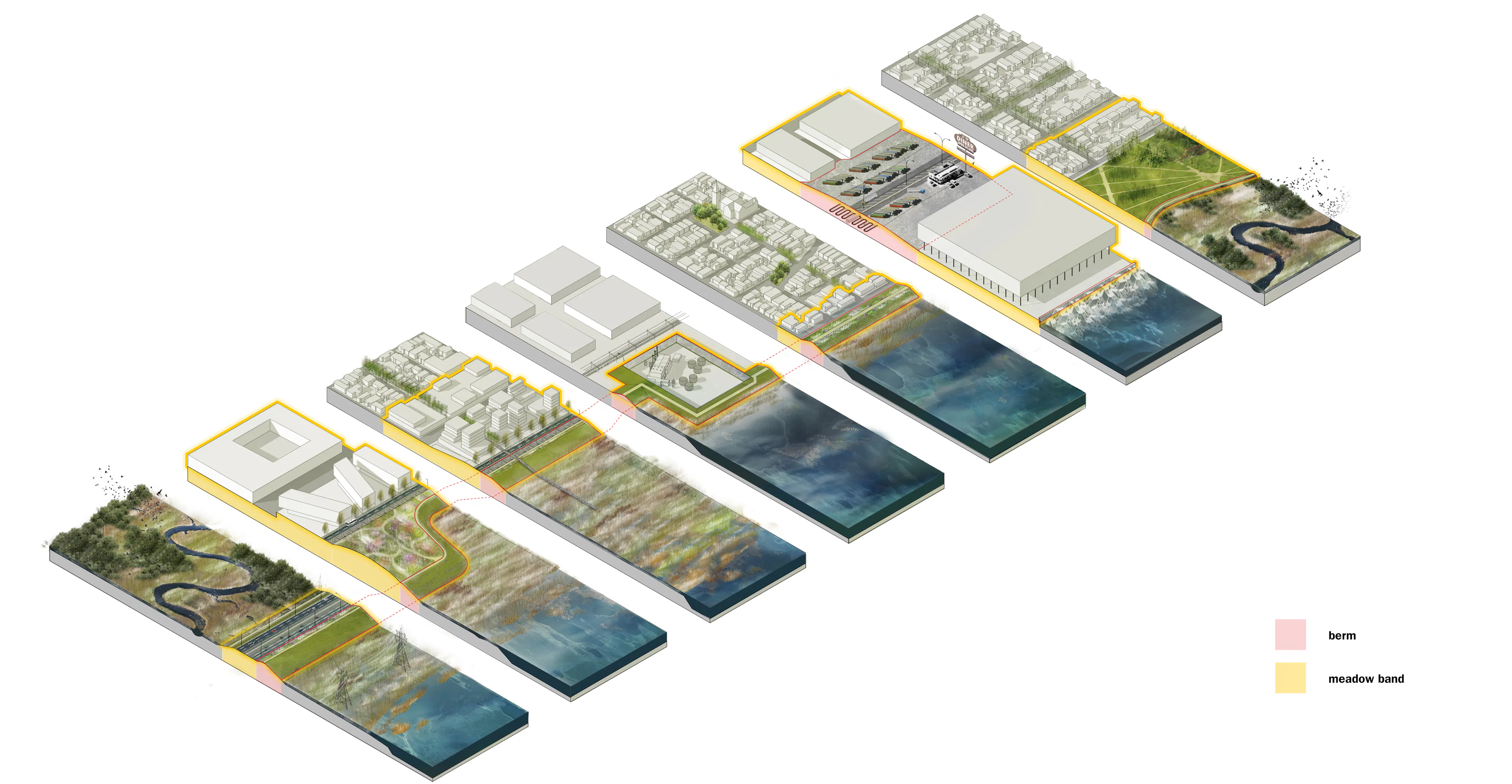 07 Sectional specificity