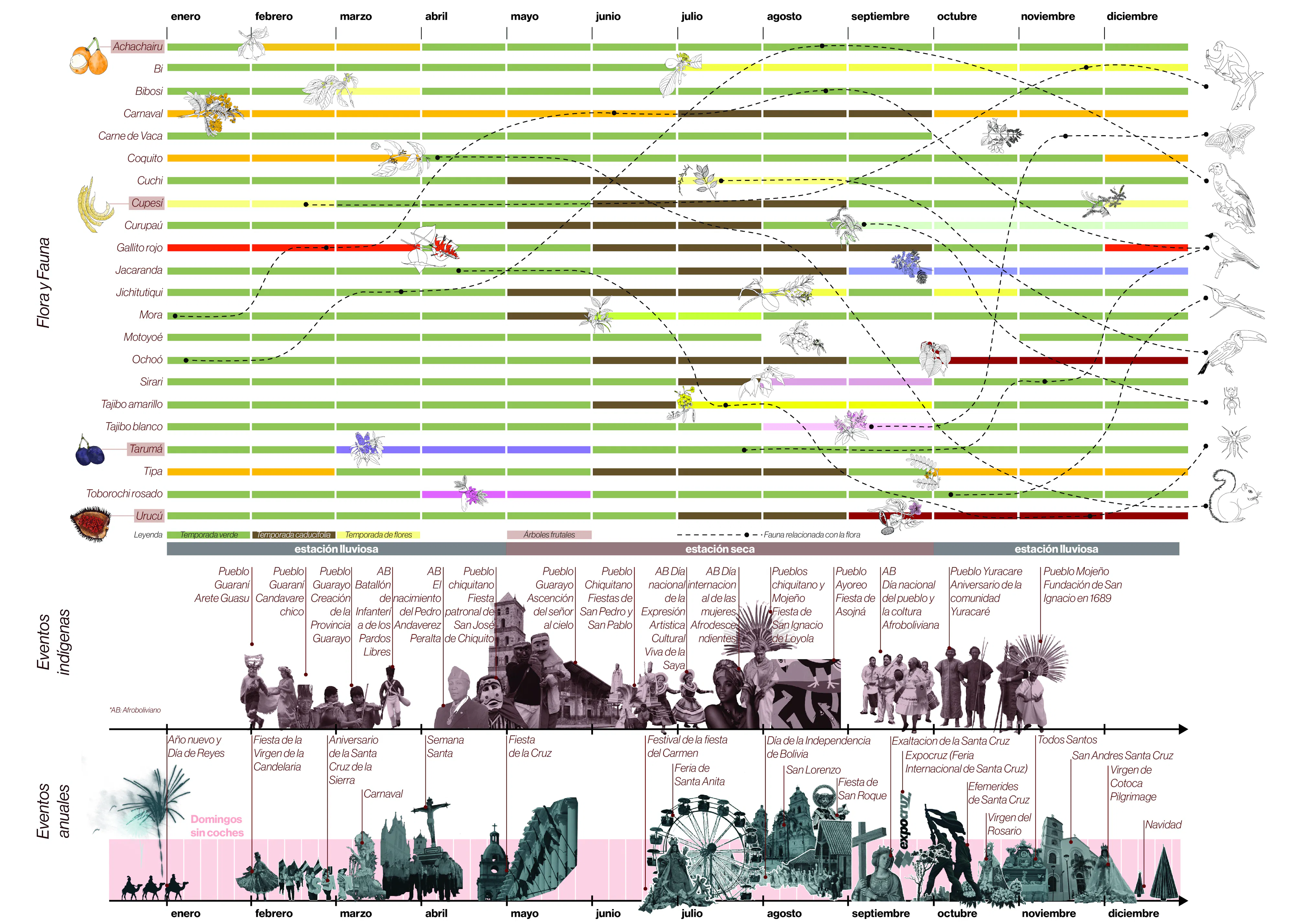 241122 Year Timeline 01