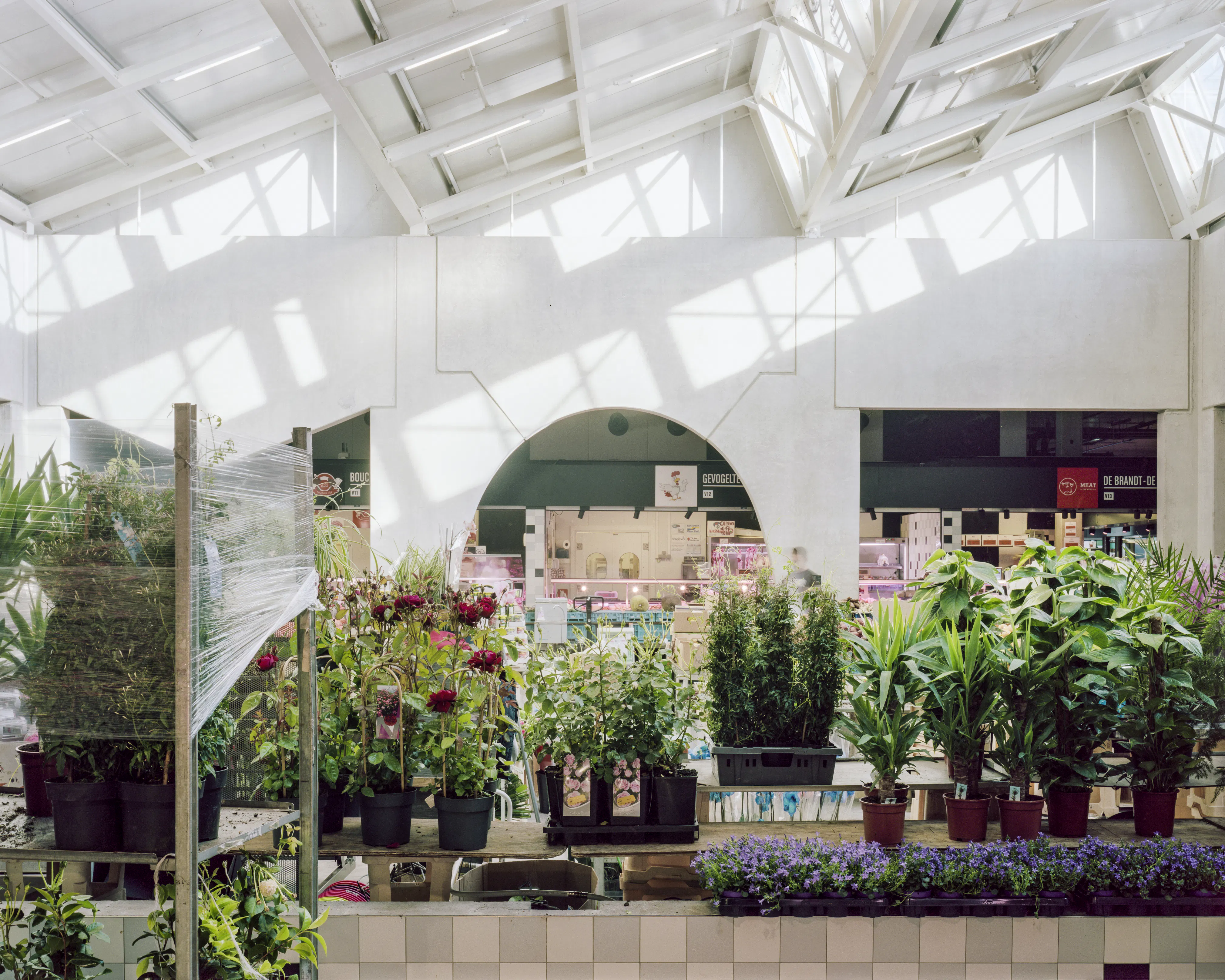 BMA MAL1906 Biennale Seoul 03