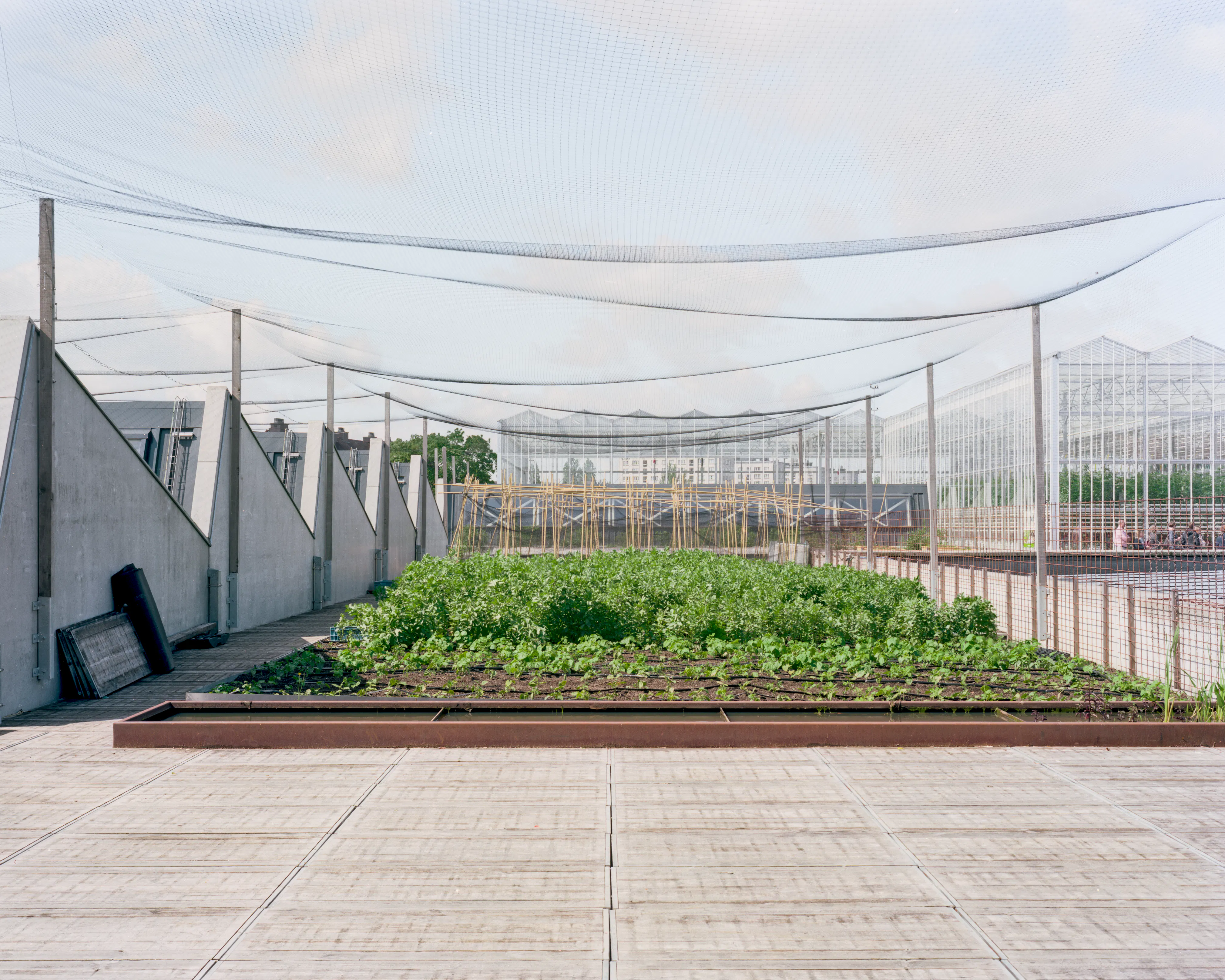 BMA MAL1906 Biennale Seoul 04